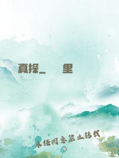 真探